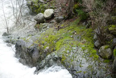 DSC_0886 (Large).JPG